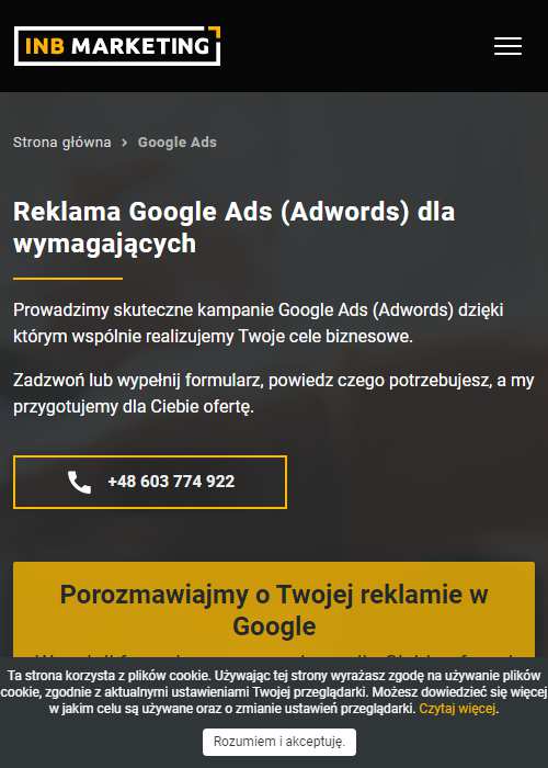 kampania Google Ads